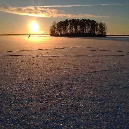 Koivuniemi * Сякюля