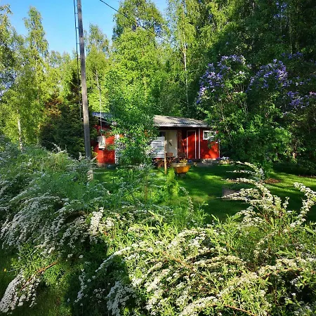 Koivuniemi Сякюля