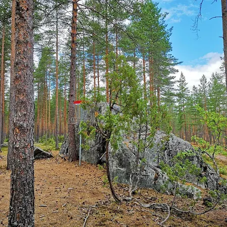 Koivuniemi *