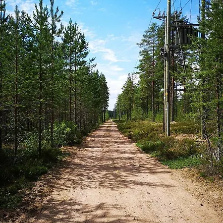 Koivuniemi Сякюля