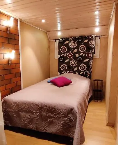 考伊芙维艾美度假屋 度假居 Säkylä