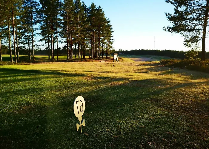 考伊芙维艾美度假屋 度假居 Säkylä