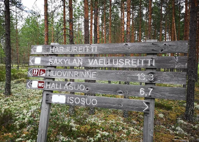 考伊芙维艾美度假屋 Säkylä