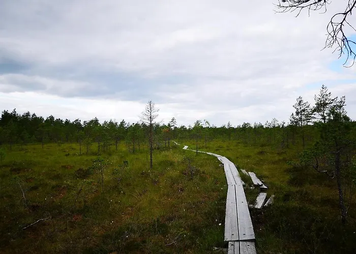 考伊芙维艾美度假屋 *